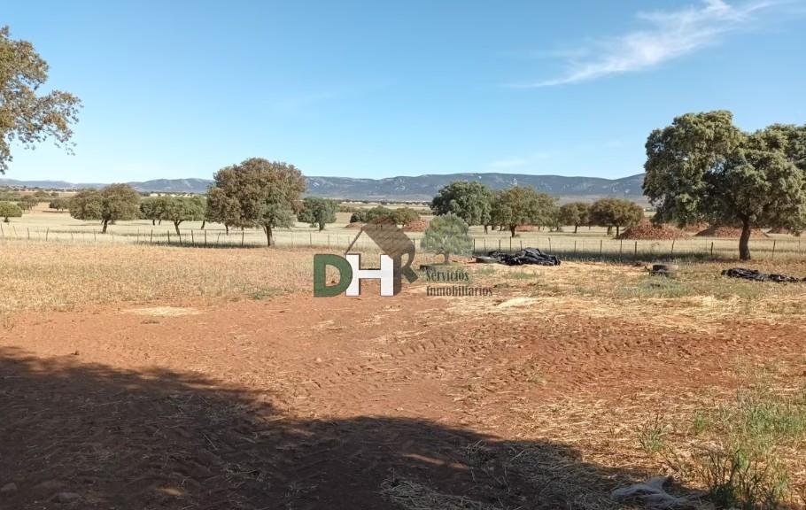 Land in Ciudad Real, Kastilien-La Mancha, Spanien 1 - 16948698