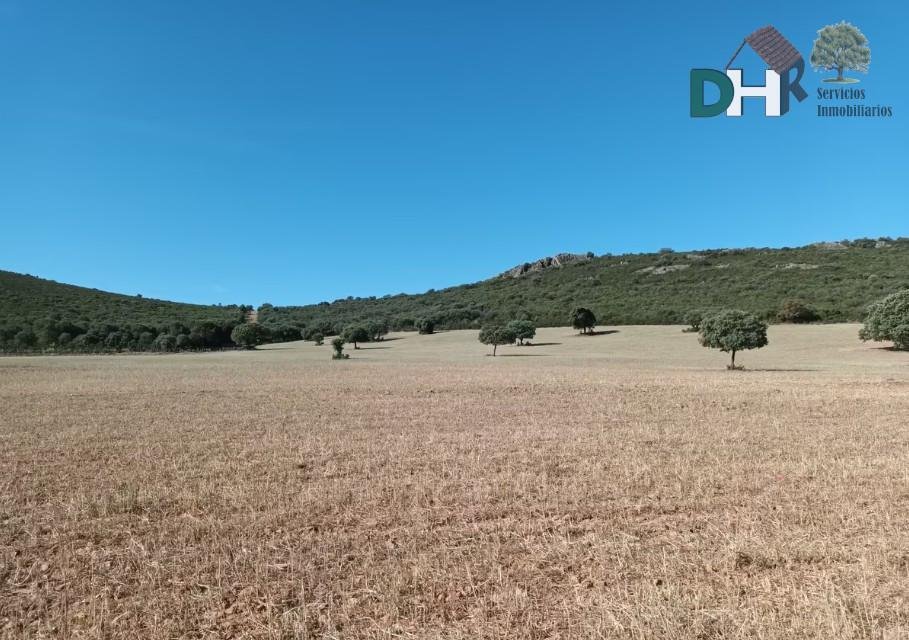 Land in Ciudad Real, Kastilien-La Mancha, Spanien 3 - 16948698