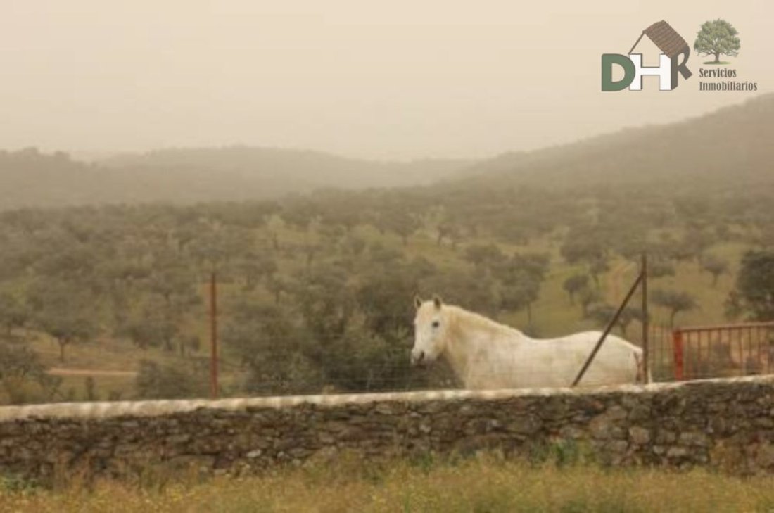 Land in Badajoz, Extremadura, Spain 5 - 13111168