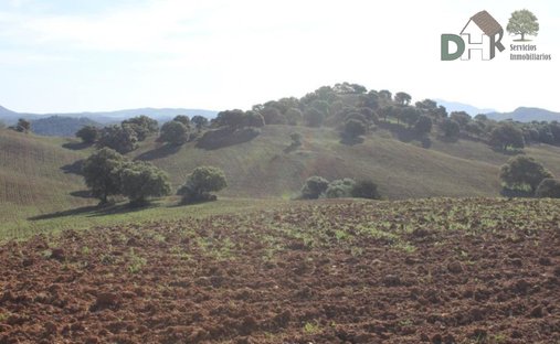 Land in Distrito Norte, Seville, Spain 1