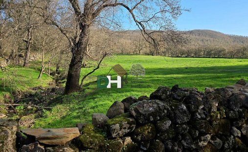 Land in Cáceres, Extremadura, Spanien 1