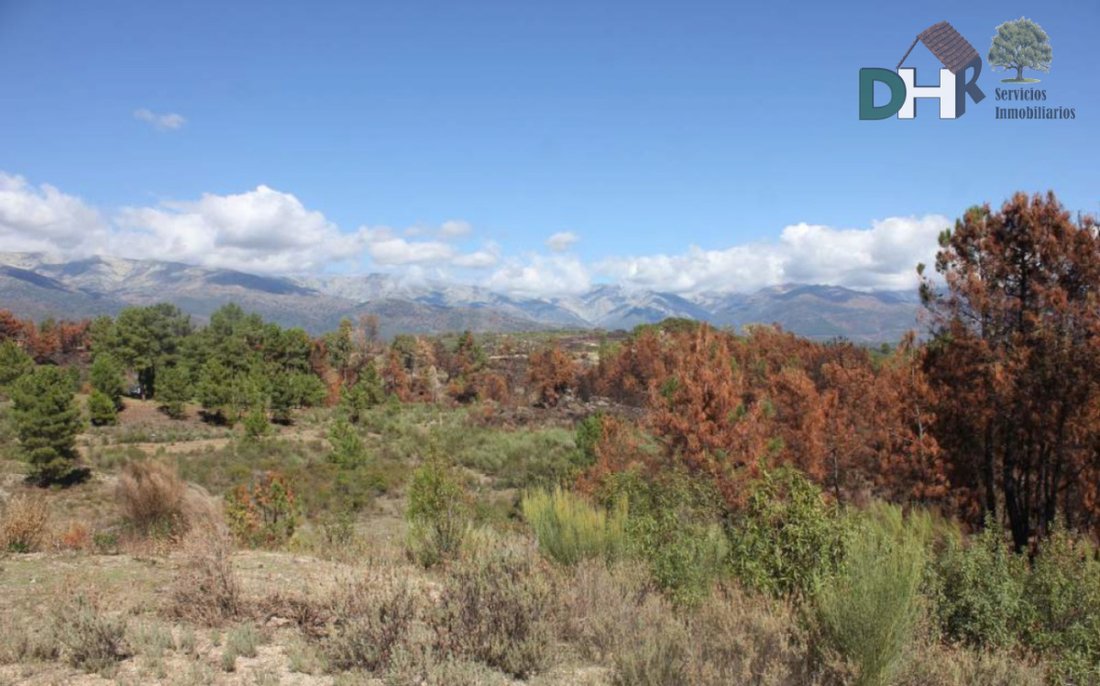 Land in Cáceres, Extremadura, Spain 5 - 13111458