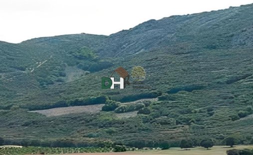 Land in Toledo, Kastilien-La Mancha, Spanien 1