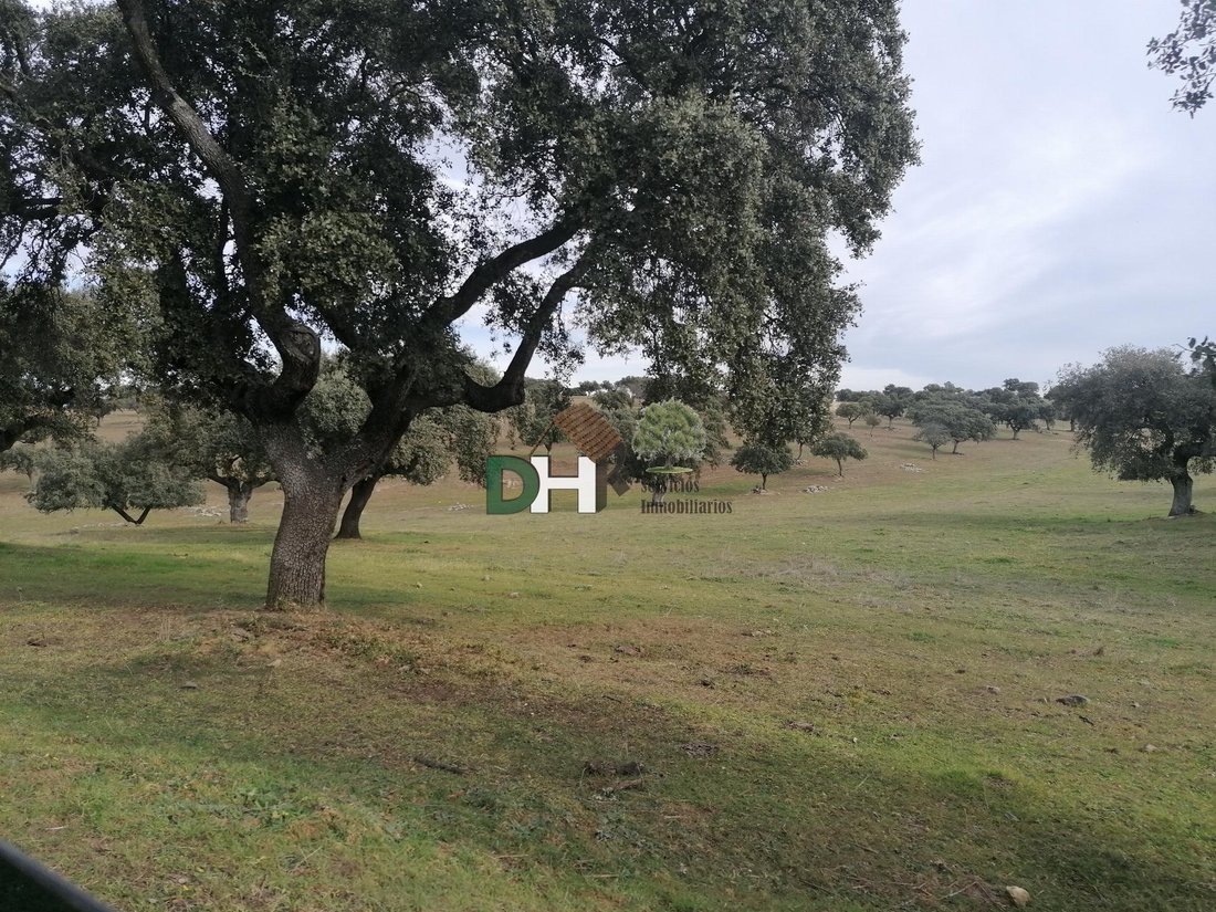 Land in Cáceres, Extremadura, Spain 1 - 13111272