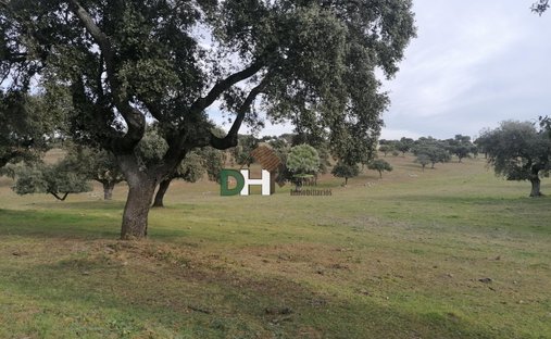 Terreno en Cáceres, Extremadura, España 1