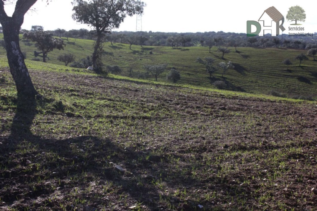 Land in Cáceres, Extremadura, Spain 4 - 13111443
