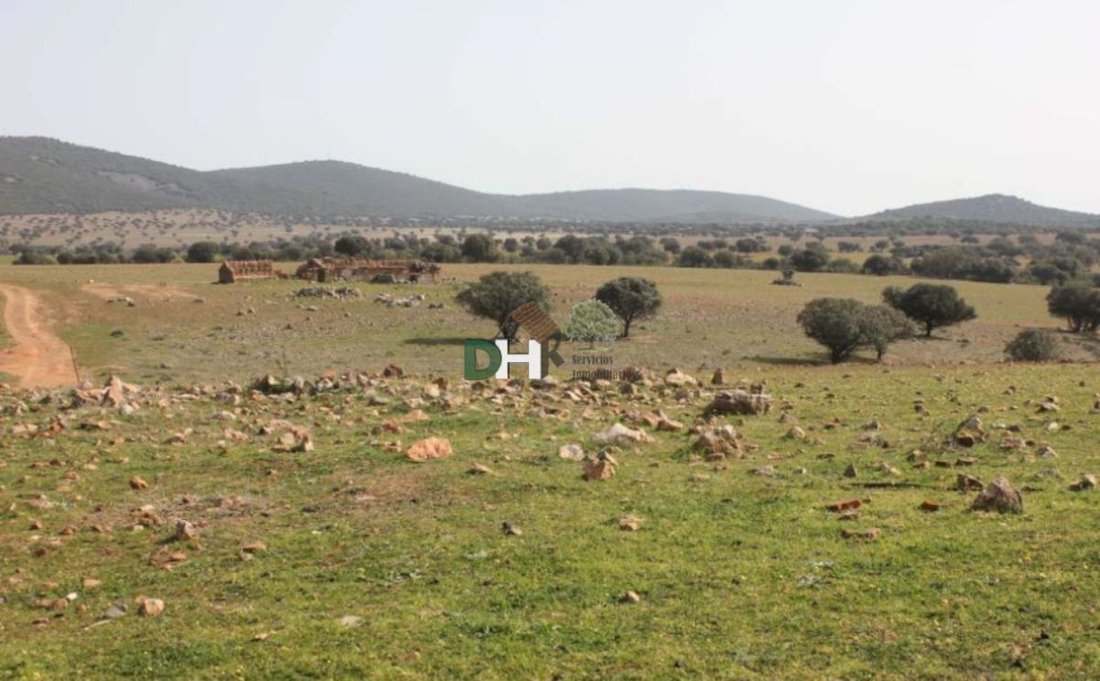 Land in Badajoz, Extremadura, Spain 4 - 13111405