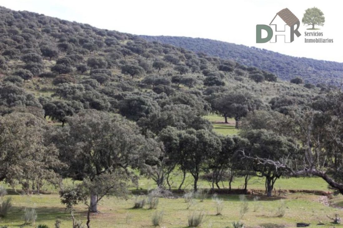 Land in Cáceres, Extremadura, Spain 3 - 13111339