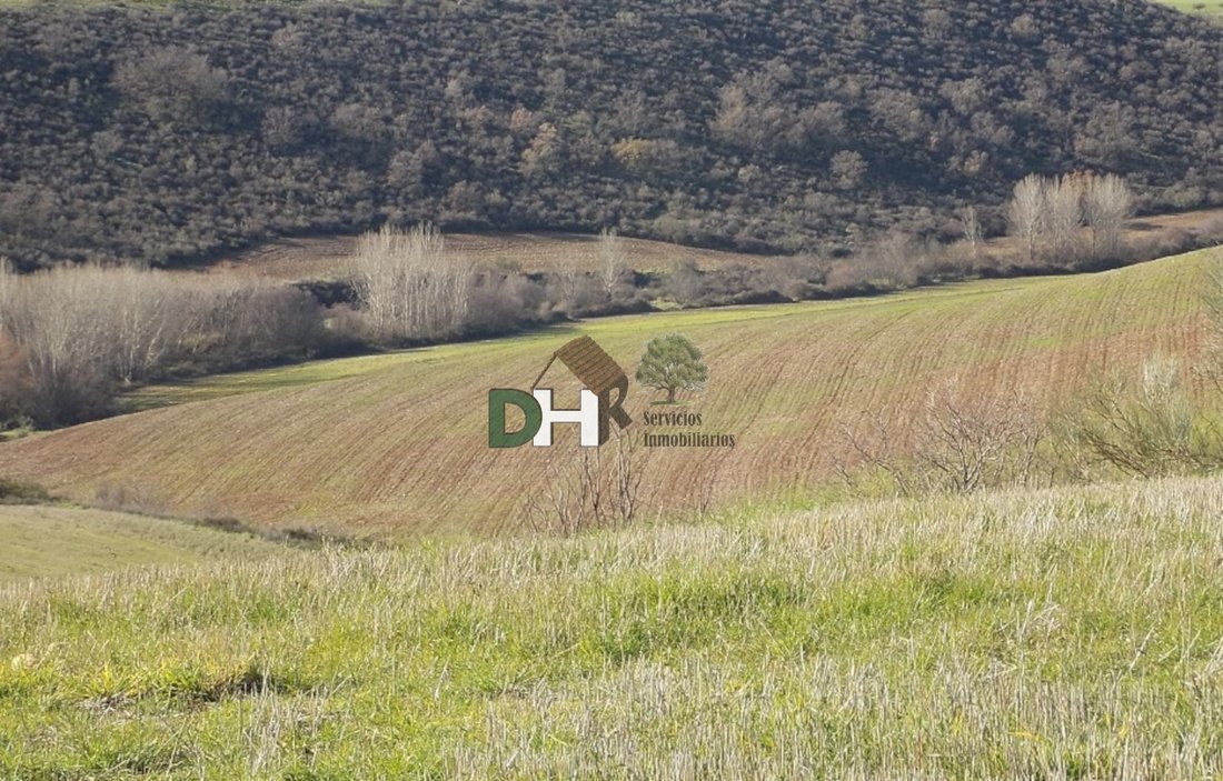 Land in Villa de Vallecas, Madrid, Spain 4 - 13491505