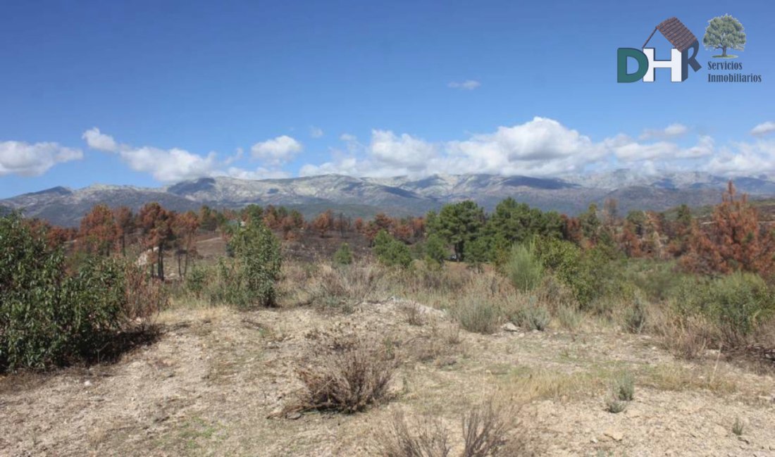 Land in Cáceres, Extremadura, Spain 2 - 13111458