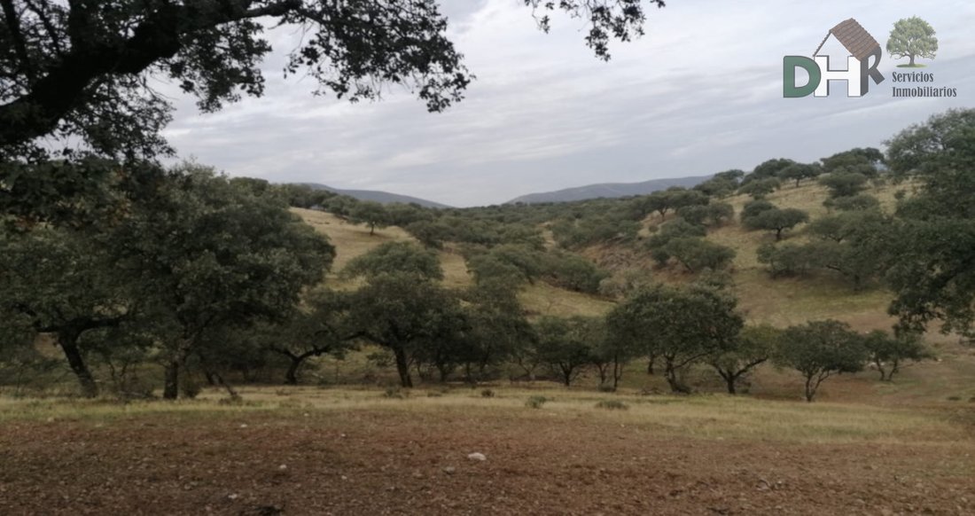 Land in Cáceres, Extremadura, Spain 2 - 13111434