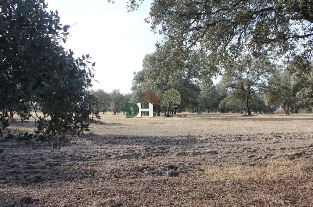 Land in Cáceres, Extremadura, Spanien 2 - 13402300