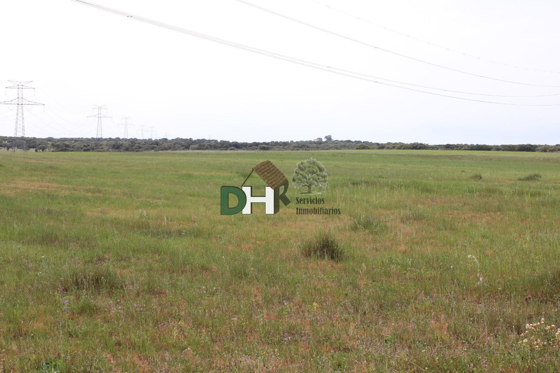 Land in Cáceres, Extremadura, Spain 1 - 13111492