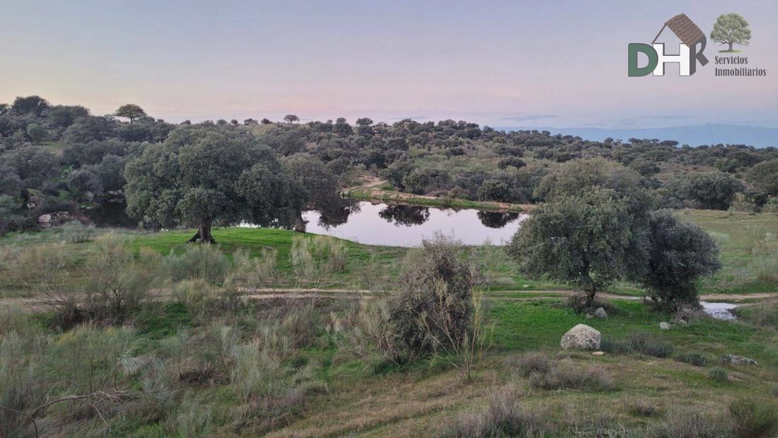 Land in Cáceres, Extremadura, Spain 2 - 13111462