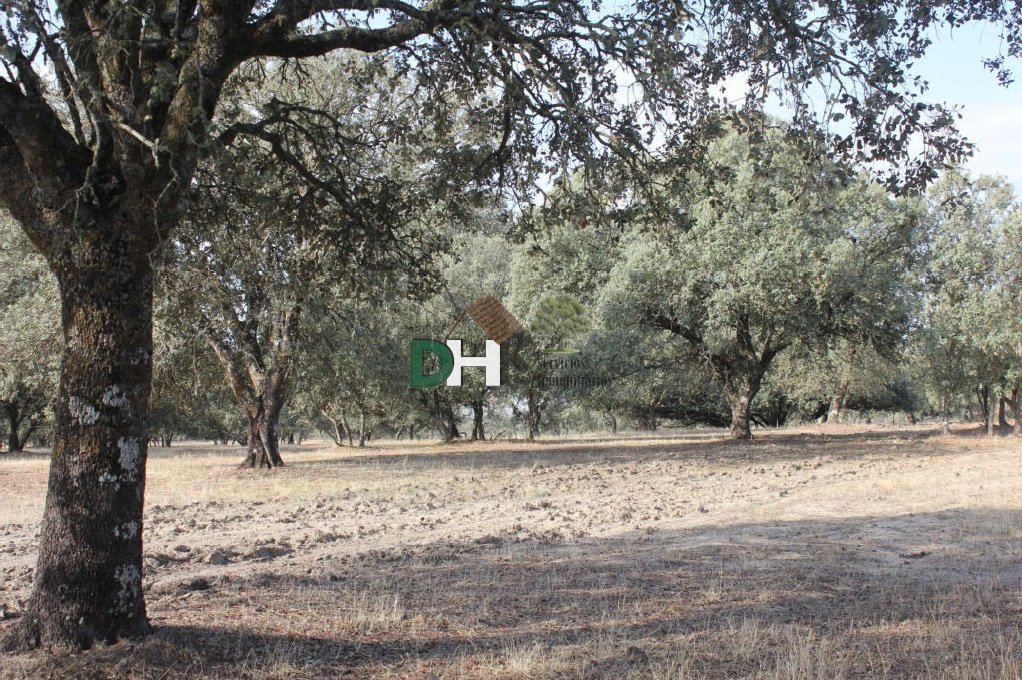 Land in Cáceres, Extremadura, Spanien 3 - 13402300
