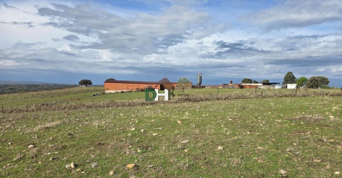 Land in Cáceres, Extremadura, Spain 1 - 16584292