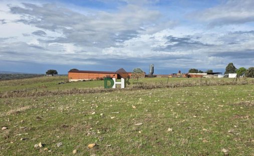 Land in Cáceres, Extremadura, Spain 1