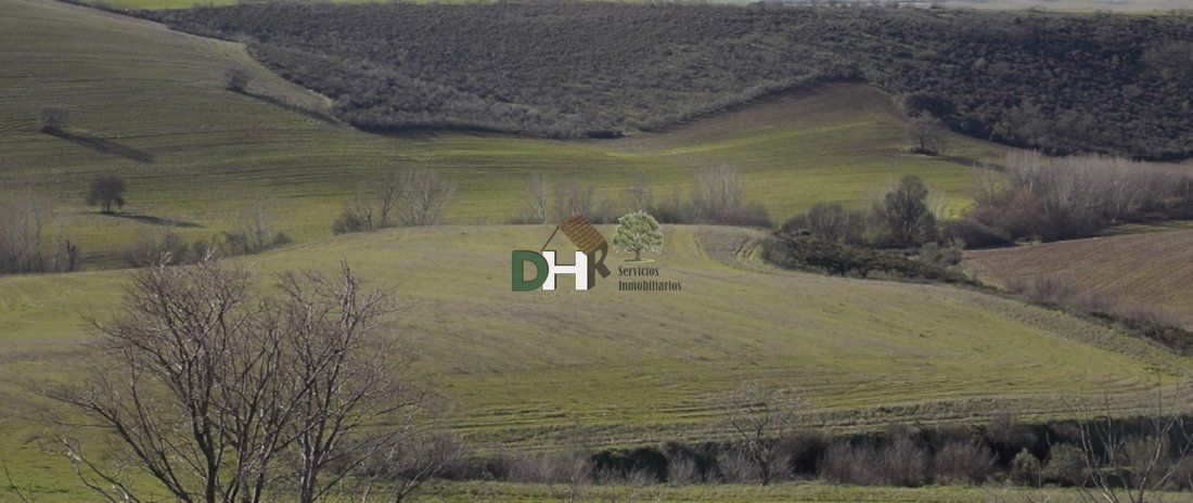 Land in Villa de Vallecas, Madrid, Spain 1 - 13491505
