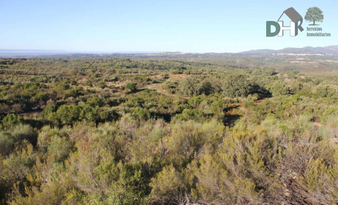 Land in Cáceres, Extremadura, Spain 2 - 13111457