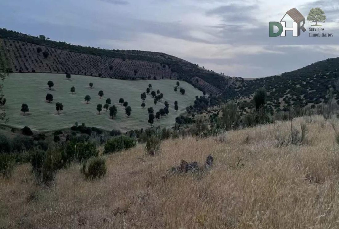 Land in Ciudad Real, Kastilien-La Mancha, Spanien 1 - 15305380