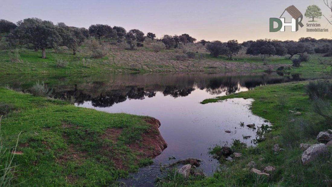 Land in Cáceres, Extremadura, Spain 1 - 13111462