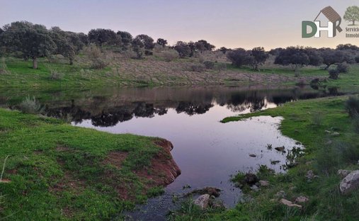 Land in Cáceres, Extremadura, Spain 1