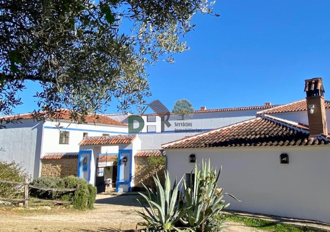 Villa in La Rinconada, Andalusia, Spain 1 - 13111507