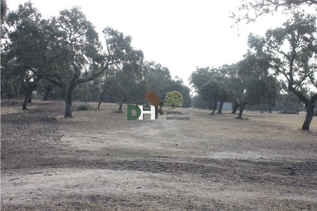 Land in Cáceres, Extremadura, Spanien 5 - 13402300