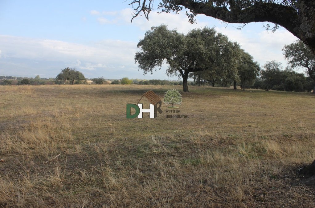 Land in Cáceres, Extremadura, Spanien 4 - 13402300
