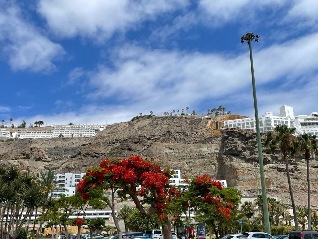 Land in Puerto Rico de Gran Canaria, Canary Islands, Spain 5 - 17469038