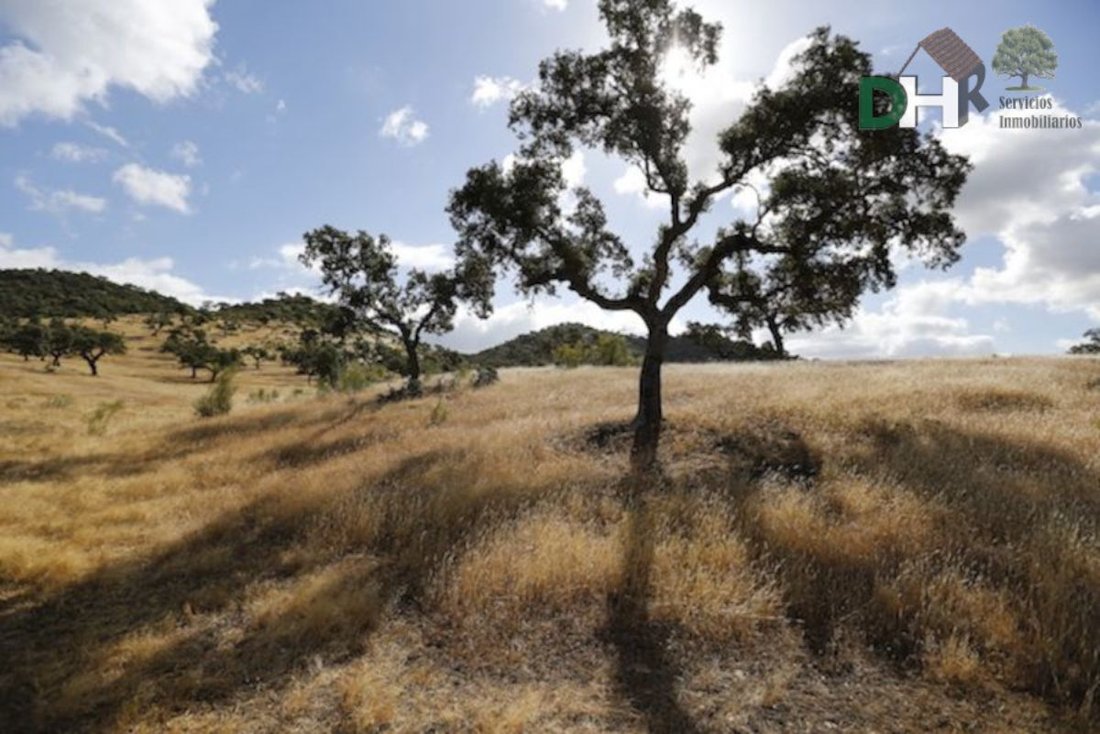 Land in Badajoz, Extremadura, Spain 1 - 13111168