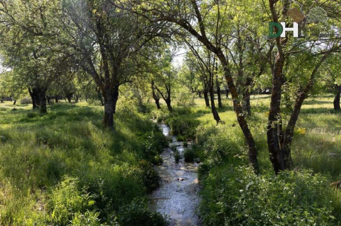 Land in Fuencarral-El Pardo, Madrid, Spain 2 - 15083070
