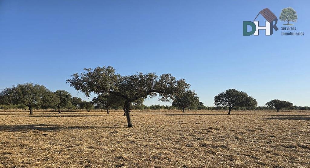Land in Badajoz, Extremadura, Spanien 1 - 16462926