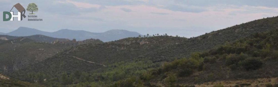 Terrain à Cuenca, Castille-La Manche, Espagne 3 - 13111435