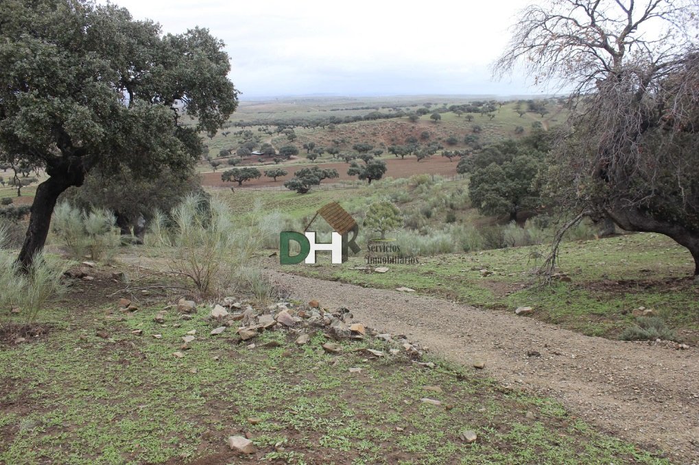 Land in Cáceres, Extremadura, Spain 4 - 13438644