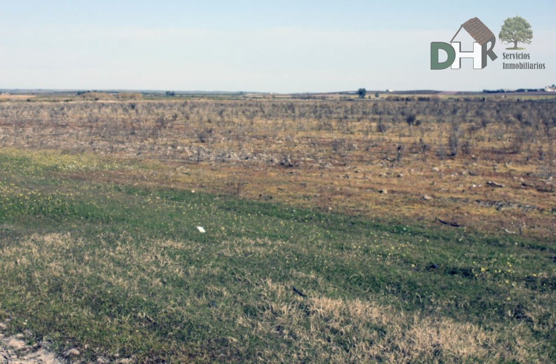 Land in Badajoz, Extremadura, Spain 1 - 13111472