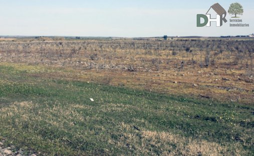 Land in Badajoz, Extremadura, Spain 1