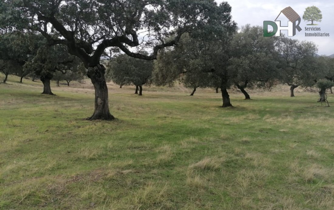 Land in Cáceres, Extremadura, Spain 1 - 13111434