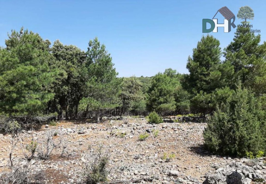 Terrain à Cuenca, Castille-La Manche, Espagne 2 - 14872652