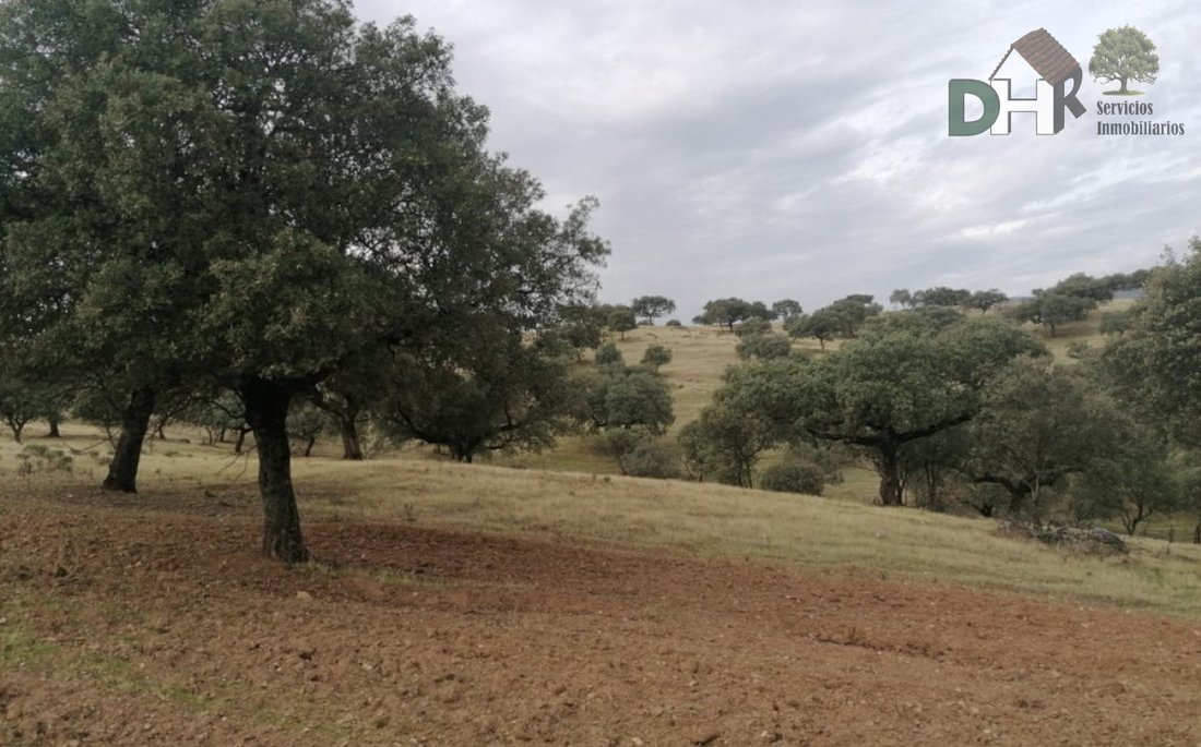Land in Cáceres, Extremadura, Spain 3 - 13111434