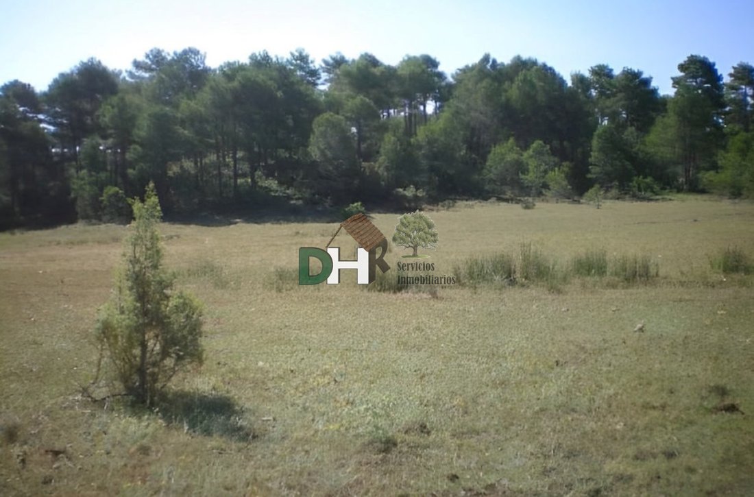 Terrain à Cuenca, Castille-La Manche, Espagne 3 - 13111486