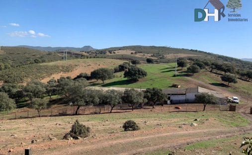 Terreno a Badajoz, Estremadura, Spagna 1