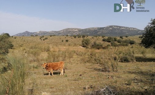 Terreno a Badajoz, Estremadura, Spagna 1