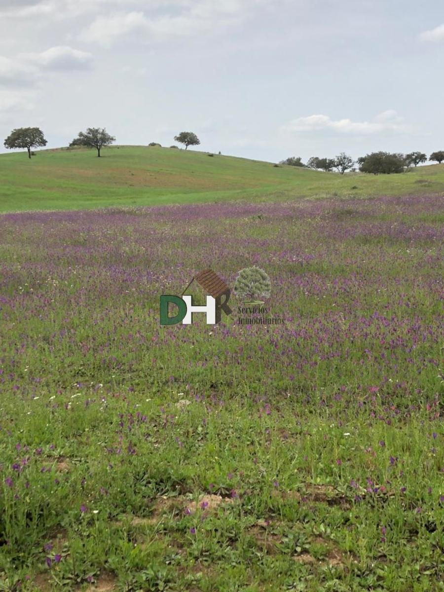 Land in Huelva, Andalusien, Spanien 1 - 15142087
