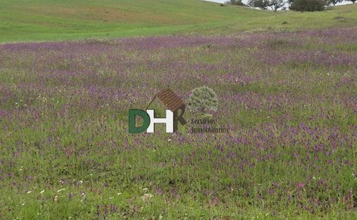 Land in Huelva, Andalusien, Spanien 1