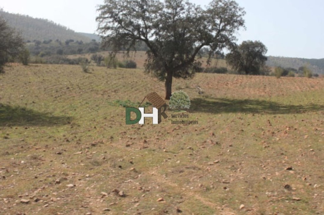 Land in Badajoz, Extremadura, Spain 2 - 13111439