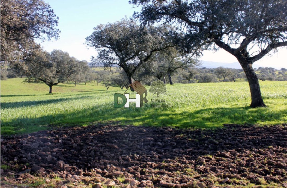 Land in Cáceres, Extremadura, Spain 1 - 13111443