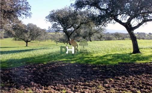 Terreno a Cáceres, Estremadura, Spagna 1