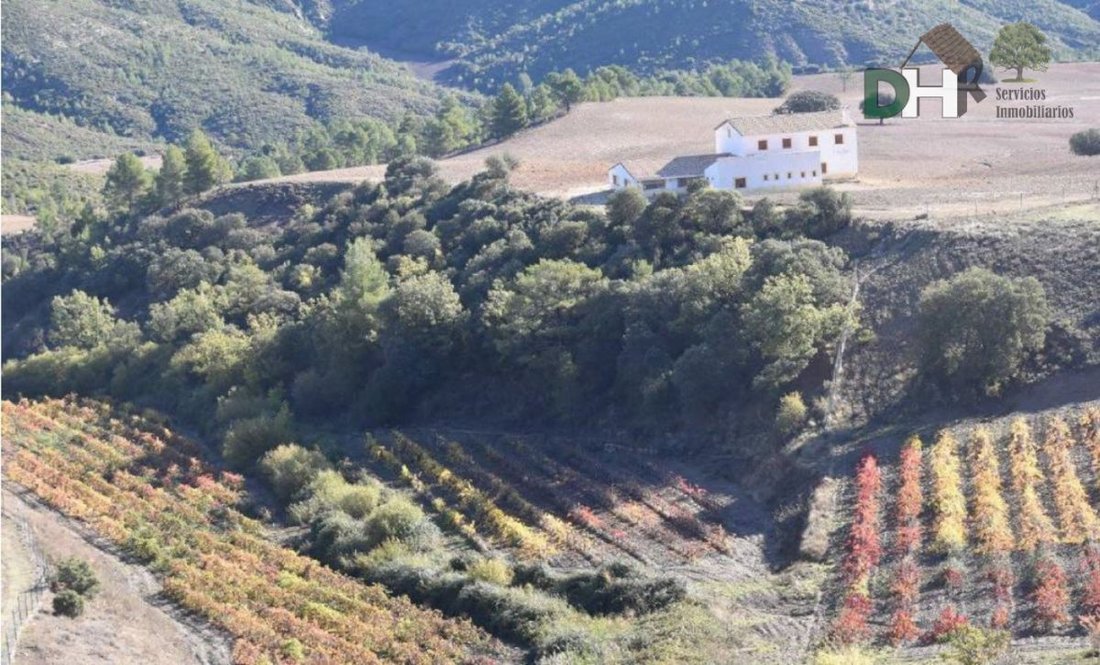Terrain à Cuenca, Castille-La Manche, Espagne 2 - 13111435