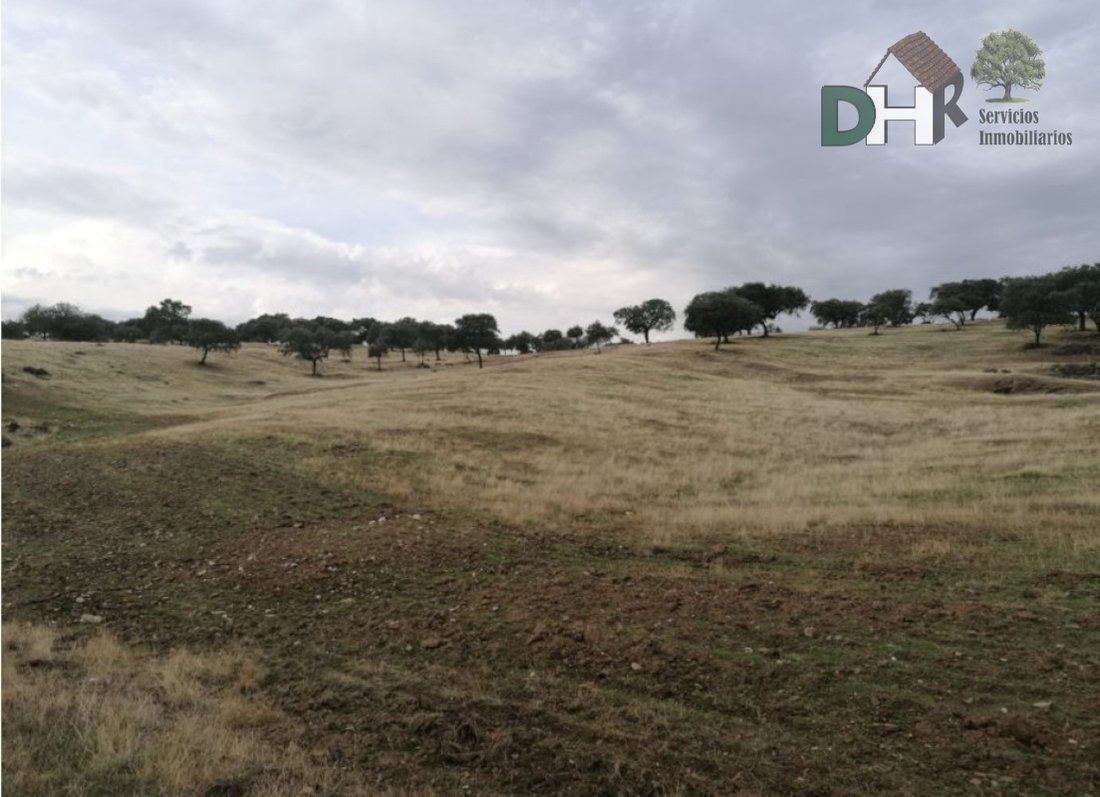 Land in Cáceres, Extremadura, Spain 4 - 13111434